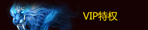 VIP特权